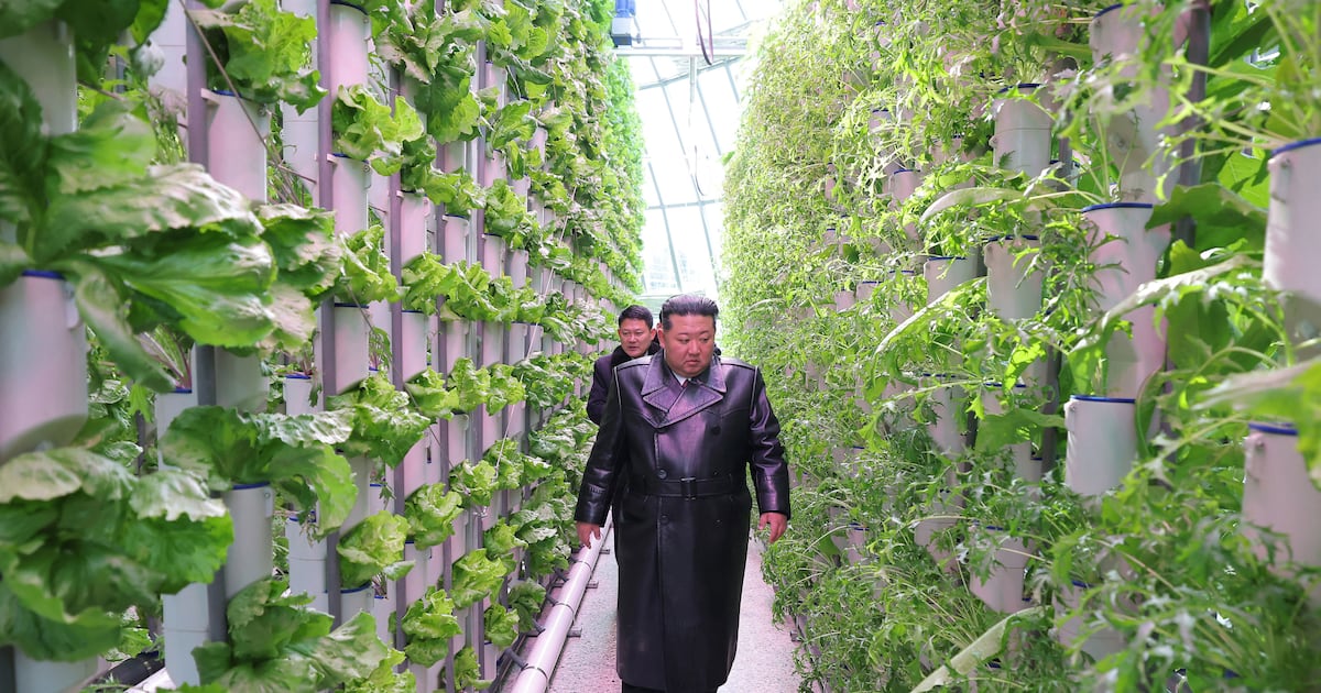 Heat maps show largest greenhouse farm in North Korea at less than half capacity